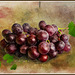 Tiempo de uvas