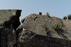 Mur de l'Atlantique (3)