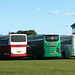 Coaches at Newmarket Racecourse - 14 Oct 2023 (P1160738)