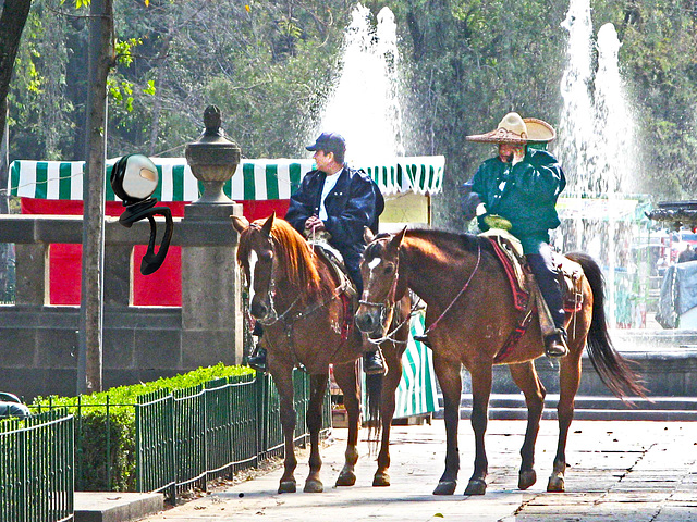 "May I rest here?" -  in the Parque Alameda, Mexico