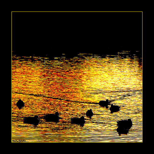 l'eau d'Or, les endort doucement... l'eau d'Or, les endort doucement...