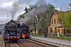 Dampfloktreffen in Blankenburg - HFF everybody!