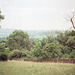 Looking towards Bradford Dale (Scan from July 1991)