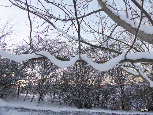 Snow necklace!