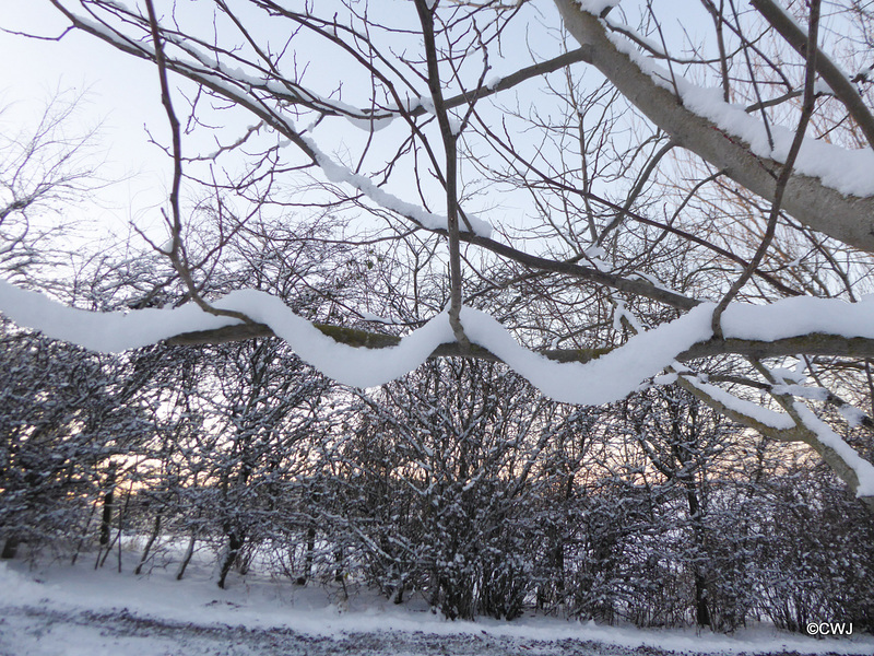 Snow necklace!