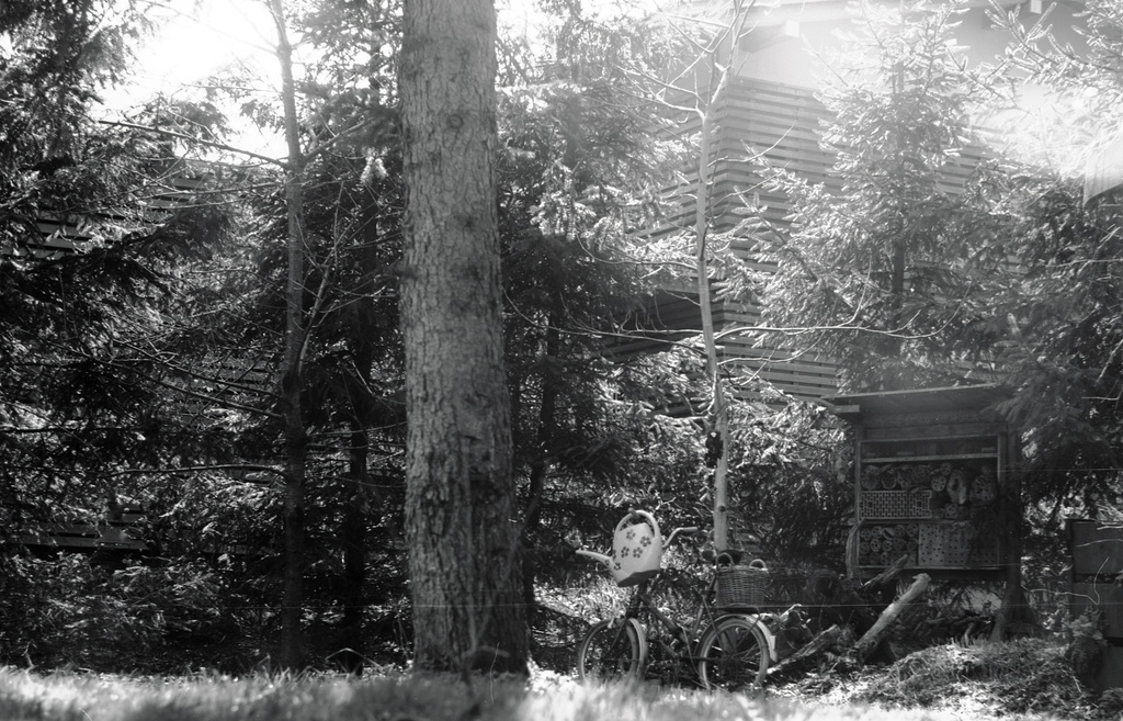 Garten, Familie, Benneckenstein, Film