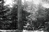 Garten, Familie, Benneckenstein, Film