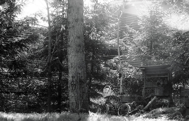 Garten, Familie, Benneckenstein, Film