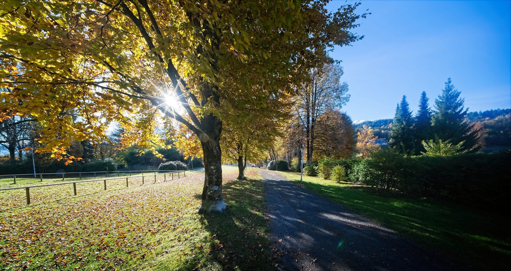Der Herbst zeigt sich von seiner schönsten Seite im Park :))  Autumn shows itself at its best in the park :))   L'automne se montre à son meilleur dans le parc :))
