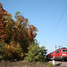 BÖ0033514