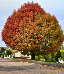 Dégradé de couleurs [EXPLORER]