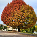 Dégradé de couleurs [EXPLORER]