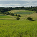 Landschaft bei Cleeberg