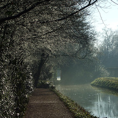 Anglesey Abbey 2013-01-17