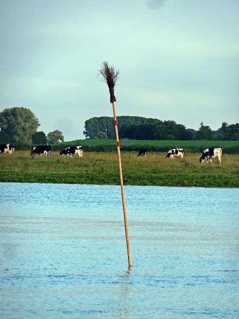 Multifunktionell - Boje - Wasserstandsmesser - Vogelscheuche - Stallreiniger und Badebegrenzungssignal für Milchkühe