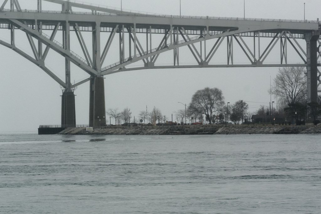 A Tree Under the Bridge