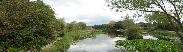 Lliswerry pond