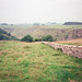 Above Cales Dale and Lathkill Dale (Scan from July 1991)