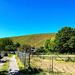 Weinberge bei Bachem