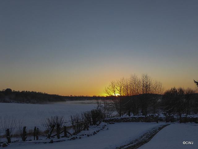 Winter sunset