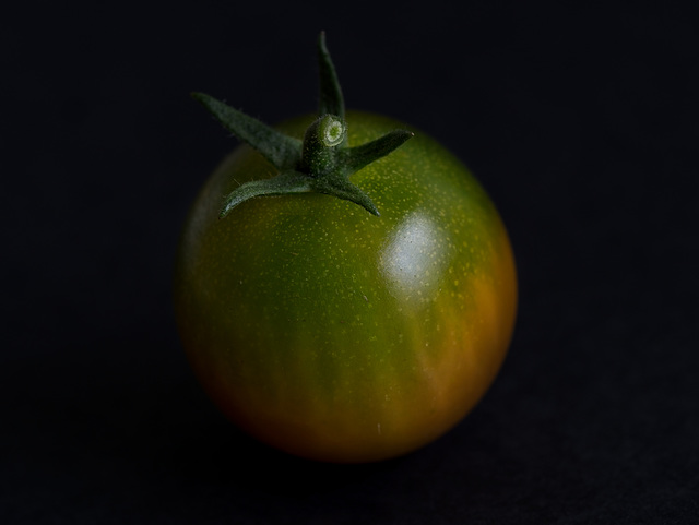 Tomato Moon