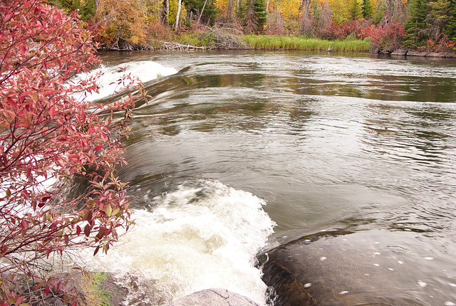 the crest of the Falls