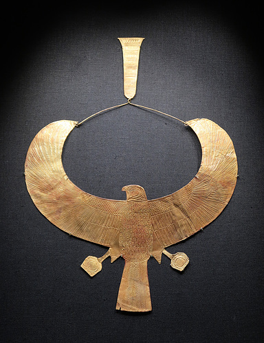 Hawk collar