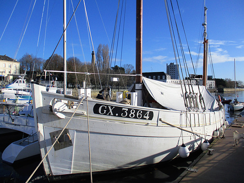 le Thonier BICHE prend ses quartiers d'hiver au port avec un manteau en attendant le printemps,