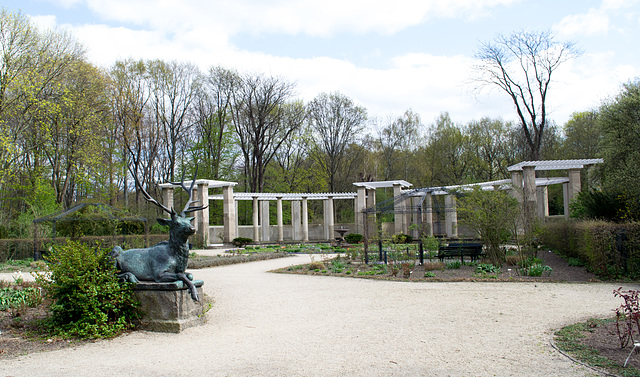 Berlin Tiergarten Rose Garden (#2112)