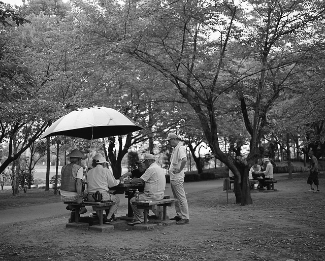 Playing mahjong under the sky