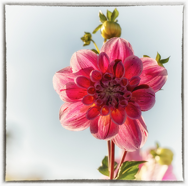 Der Frühling kommt Der Frühling kommt