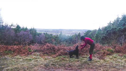 The Peeps View over Fochabers from Whiteash Hill