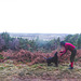 The Peeps View over Fochabers from Whiteash Hill