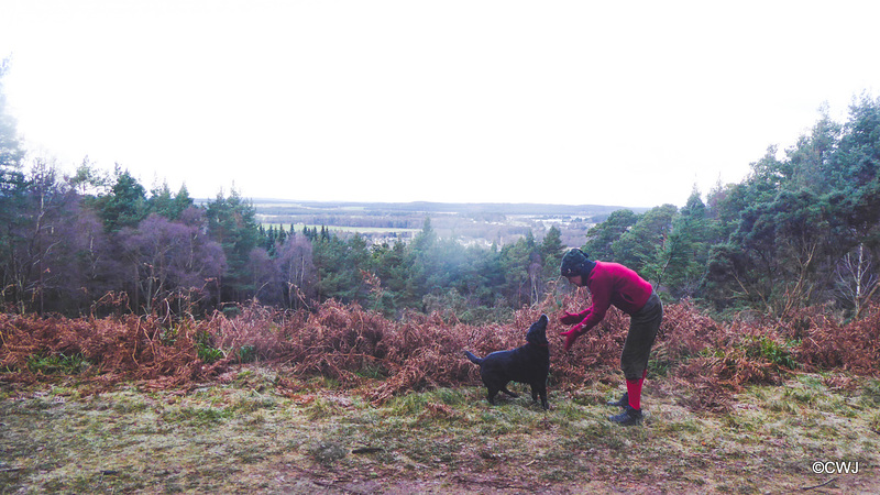 The Peeps View over Fochabers from Whiteash Hill