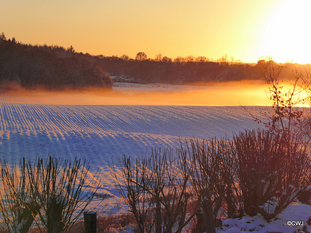 Winter sunset tinting the haar