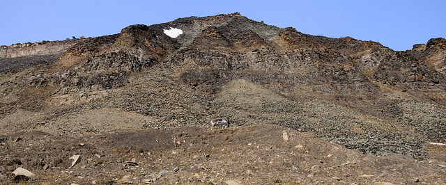 Trollsteinen Hike