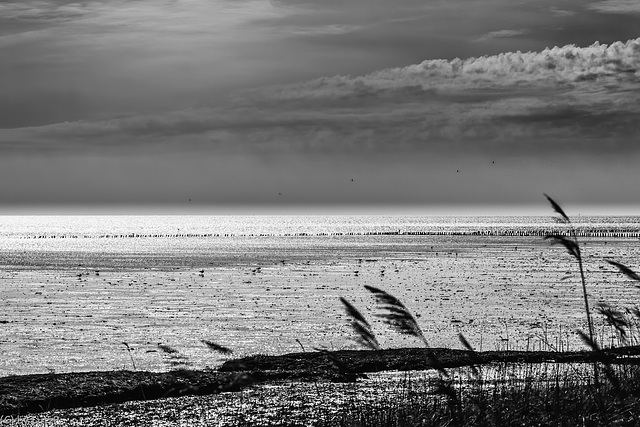 The Wadden Sea - Das Wattenmeer (135°)