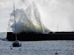 ca déménage au port