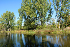 Bulgaria, Kyustendil, Left Bank of the River of Struma