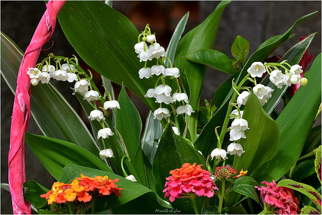 Joyeux 1er Mai à toutes et tous ...