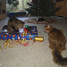 Christmas 2011 with old Milly (4)