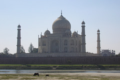 Taj Mahal View