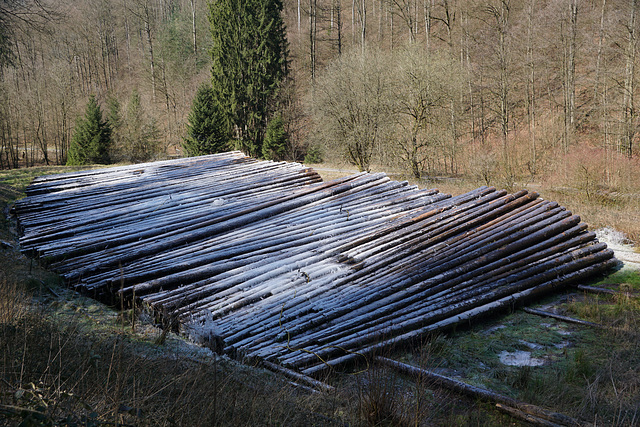 Holz unter Eis
