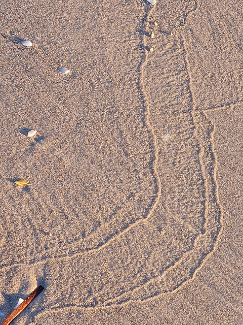 sand scribbles