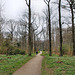 Waldweg im Fredenbaumpark (Dortmund-Innenstadt-Nord) / 4.04.2021