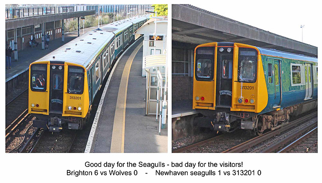 Good day for the Seagulls Newhaven 29 4 2023