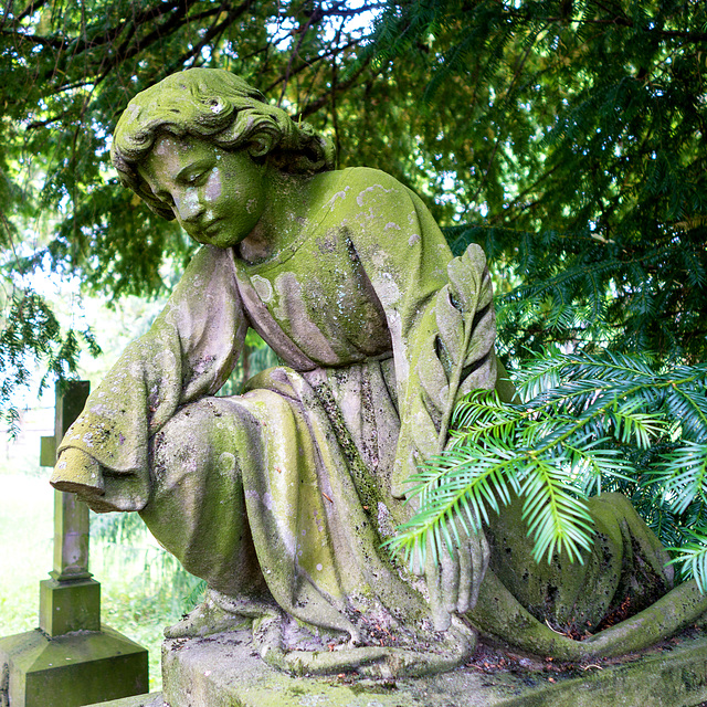 Old Cemetery Freiburg