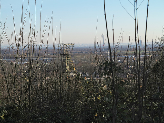 Aussicht von der Halde