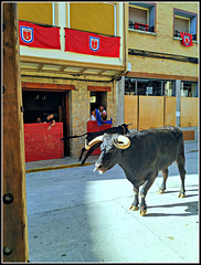 Fiestas de Falces (Navarra), 2