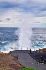 SMALL-20250827 102024-on1